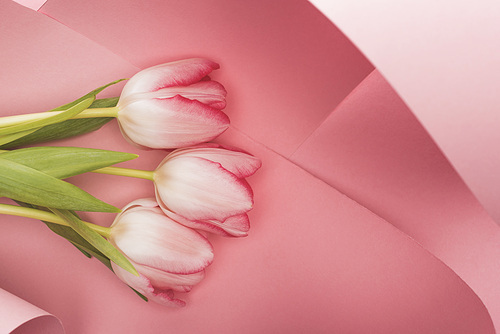 top view of blooming spring tulips in pink paper swirls