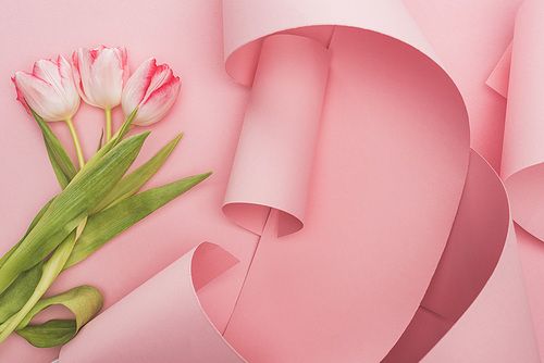 top view of tulips wrapped in pink paper swirls