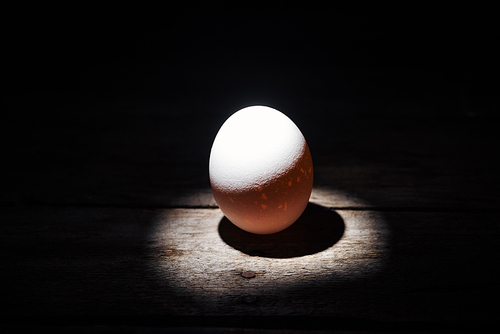 white chicken egg in darkness on weathered wooden surface