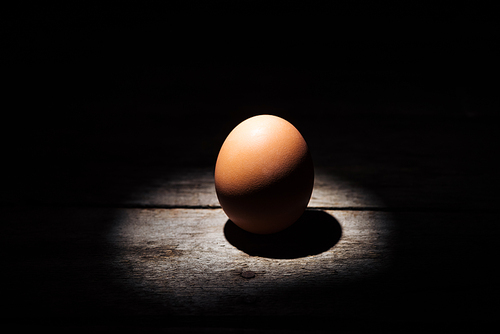 brown chicken egg in darkness on weathered wooden surface