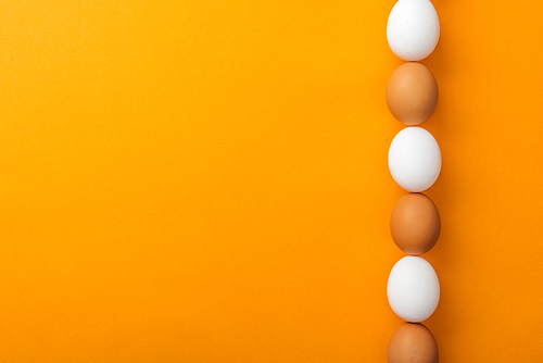 top view of white and brown organic chicken eggs in row on bright orange background with copy space