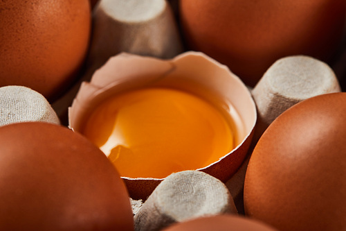 close up view of broken eggshell with yellow yolk near eggs in carton box