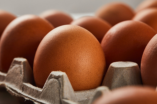 selective focus of chicken eggs in carton box