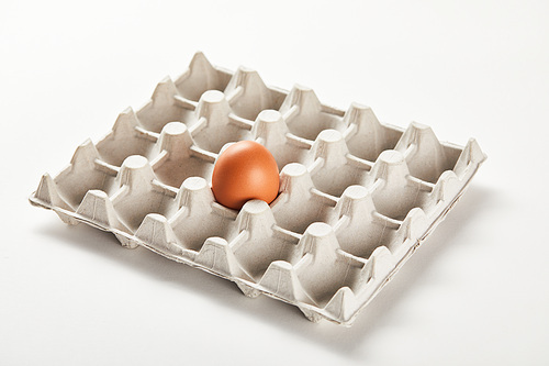 chicken egg in carton box on white surface