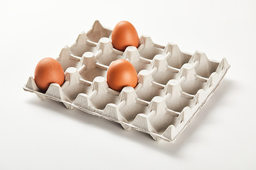 chicken eggs in carton box on white surface