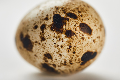 selective focus of quail egg on white surface