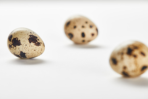 selective focus of quail eggs on white surface