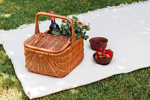 wicker basket with roses and bottle of wine on white blanket near strawberries in shadow in garden