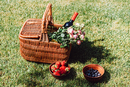 wicker basket with roses and bottle of wine on green grass near strawberries and blueberries in bowls at sunny day in garden