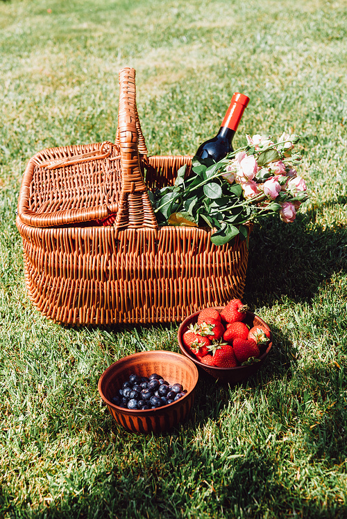 wicker basket with roses and bottle of wine on green grass near strawberries and blueberries in bowls