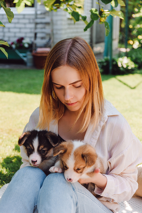 blonde girl in garden with adorable puppies at sunny day