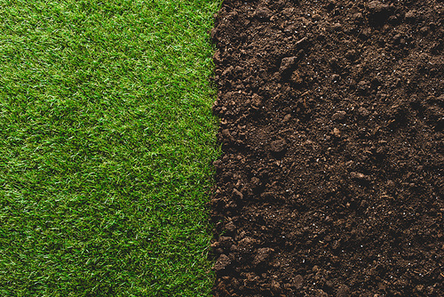 top view of green lawn and soil background