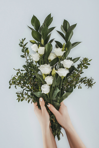 cropped image of female hands holding bouquet with eustoma flowers isolated on grey