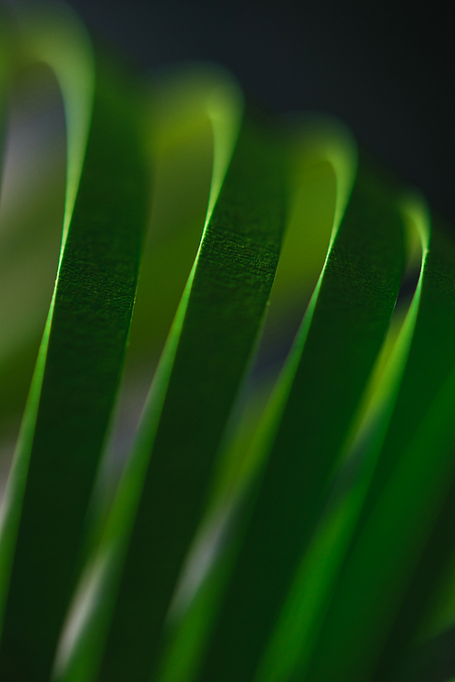 close up view of green quilling striped paper on black