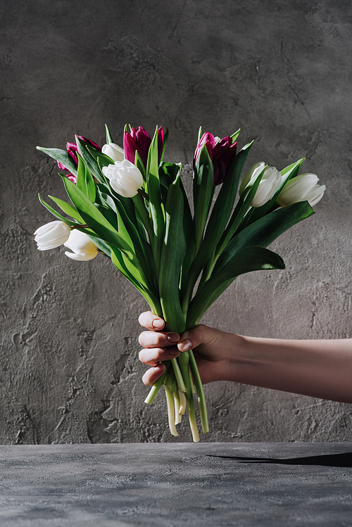 cropped view of woman holding spring tulips on grey surface
