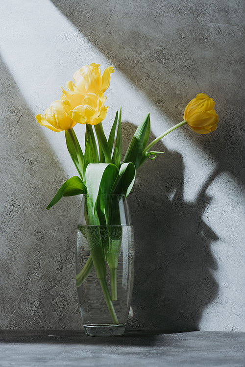 yellow spring bouquet of tulips in glass vase on grey surface with shadow