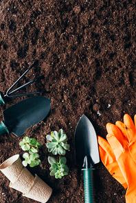 top view of green plants| gardening tools| flower pots and rubber gloves on soil