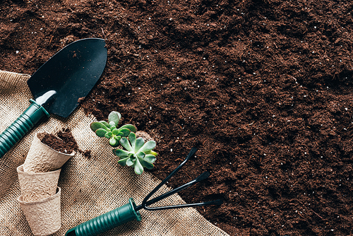 top view of gardening tools| flower pots and green plants on sackcloth on soil