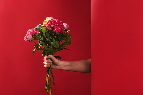 cropped shot of person holding beautiful bouquet of roses on red