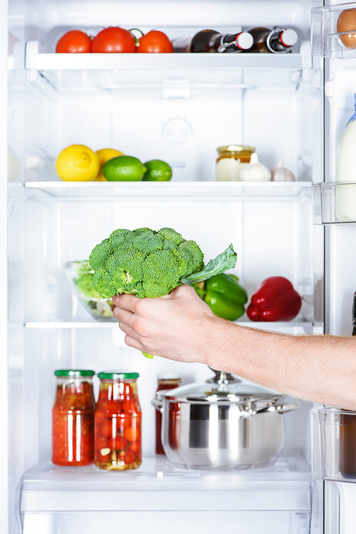 cropped image of man taking broccoli from fridge