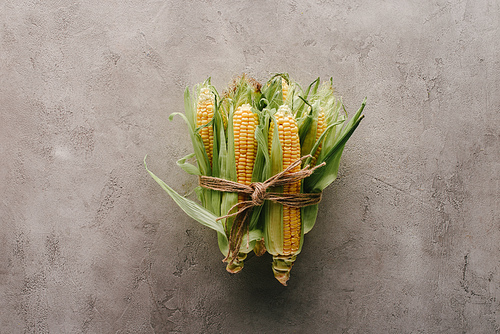 top view of fresh corn cobs tied with rope on grey concrete surface