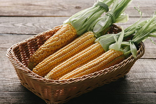 close up view of ripe corn cobs in basket on wooden surface