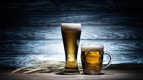 two glasses of golden beer and wheat spikelets on wooden table, oktoberfest concept
