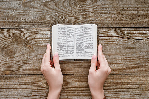cropped shot of woman holding miniature holy bible on wooden table