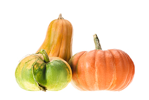 yellow, orange and green pumpkins isolated on white