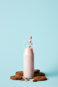 closeup view of strawberry milkshake in bottle with  straw surrounded by chocolate cookies on blue background
