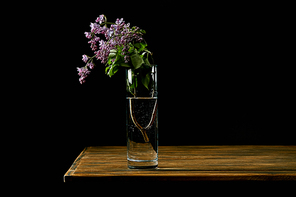 close-up shot of branch of lilac flowers in glass on wooden table isolated on black