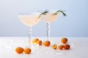 two glasses of alcohol cocktail with rosemary surrounded by kumquats and ice cubes on blue background