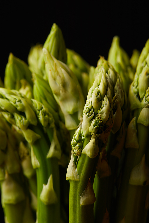 close-up shot of asparagus bunch isolated on black