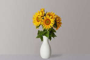bouquet of yellow sunflowers in white vase, on grey