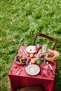 high angle view of table with fruits, pie and flowers in garden