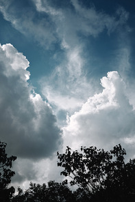 low angle view of trees against cloudy sky background