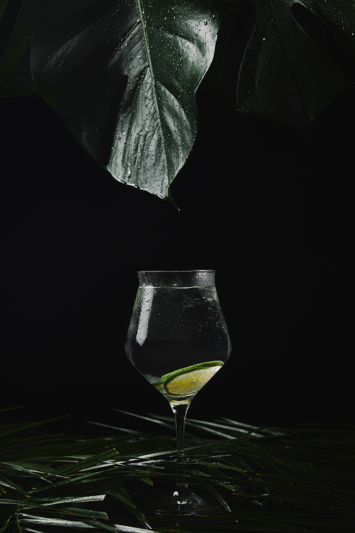 close-up view of glass with refreshing beverage and wet green tropical leaves on black