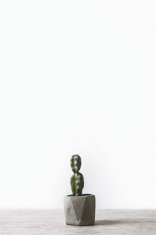 one potted cactus on marble table on white