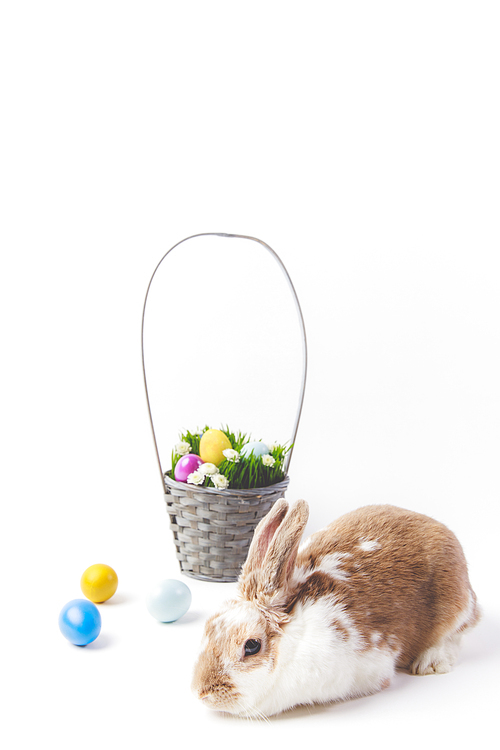 Easter basket with painted eggs and rabbit, easter concept