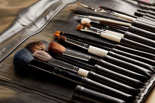 close-up shot of leather holder with professional makeup brushes