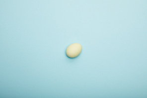 top view of . egg on blue background