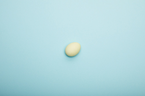 top view of . egg on blue background