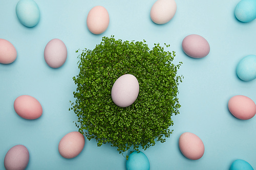 Top view of easter eggs on grass on blue background