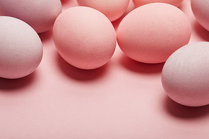 chicken easter eggs on pink background with copy space