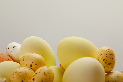 Close up of easter chicken and quail eggs with copy space