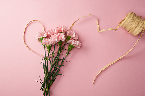 top view of beautiful pink carnation flowers and ribbon isolated on pink