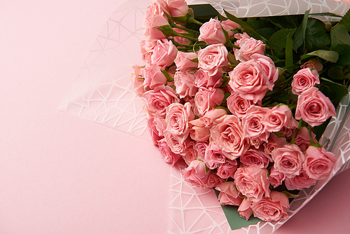 close-up view of beautiful tender pink rose flowers on pink background