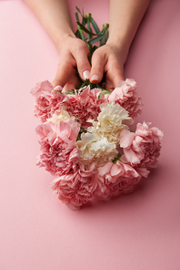 partial view of woman holding beautiful white and pink carnation flowers on pink