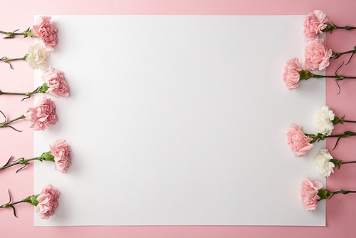 top view of beautiful pink and white flowers and blank card on pink background