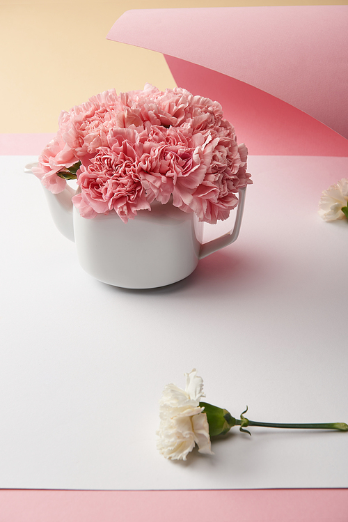 close-up view of beautiful tender pink carnation flowers in white teapot